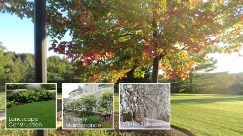 Green Ventures Landscape Care Limited photo 1