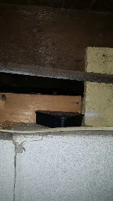 LaHara Pest Termite and Wildlife services,LLC. photo 8