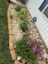 Hernandez Landscaping. photo 8