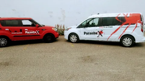 Extermination Parasitex in Gatineau