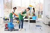 Acme Pest Solutions photo 7