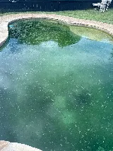 Cain Pool Co photo 3