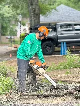 Green Earth LLC photo 7
