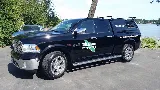Old Island Pest Control