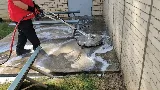 Pestco Professional Services photo 5