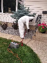 Wow Pest Control photo 6