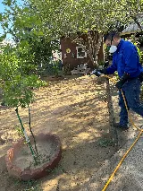 Guardian Pest Control photo 3