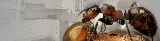 A Extermination Rive Sud