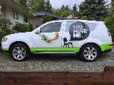 You Move Me Vancouver Island photo 3