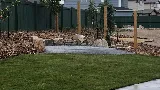 WildBear Snow + Lawn + Landscaping