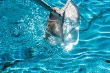 Pool Cleaning Amarillo, Texas photo 2