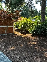 Aden Landscaping photo 7