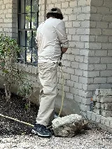 Orkin photo 8