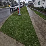 Cobra Landscape & Snow Removal Ltd. photo 6