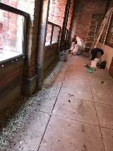 Pest Scene Investigations photo 10