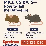 Spectrum Pest Control photo 6
