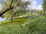 Callahan Landscape Contractors photo 6