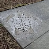 Waccamaw Concrete photo 7