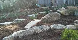 Integrated Landscaping photo 6
