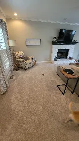 Floor Coverings International of Metro Louisville photo 5