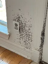 Bug State Pest Control Inc photo 4