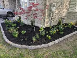 Whitby Landscaping, Gardening & Sod?? photo 2