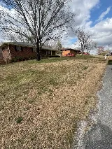 Moses Landscaping photo 4