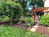 Arborvine Landscaping, LLC photo 7