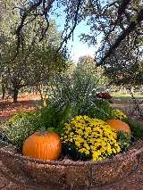 Beau Cook Lawn & Landscape photo 2