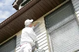 Genesis Painting photo 6