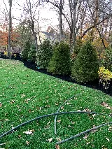 Juarez landscaping LLC photo 3