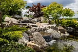 St. Jacobs Landscaping photo 5