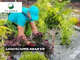 Forest Landscaping services LLC photo 2
