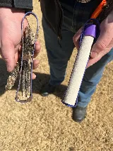 South Plains Pest Control photo 6