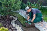 Landscaping Lubbock Pro photo 6