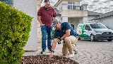 Termio Pest Control
