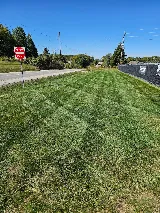 BMF Lawn Care LLC