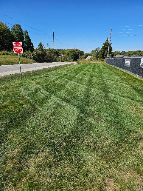 BMF Lawn Care LLC photo 1