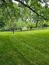 Green Horizons Lawn Care photo 3
