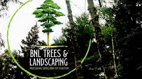 Bnl trees and landscaping in North Bay