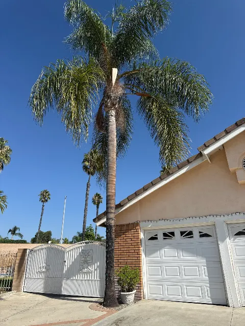 E N D Landscaping photo 1