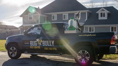 Bug Bully Pest Control in Salt Lake City