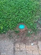 Frontline Pest and Termite of Murfreesboro photo 8