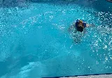 Bro’s Pool Services photo 2
