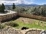 Triple Play Landscaping photo 6
