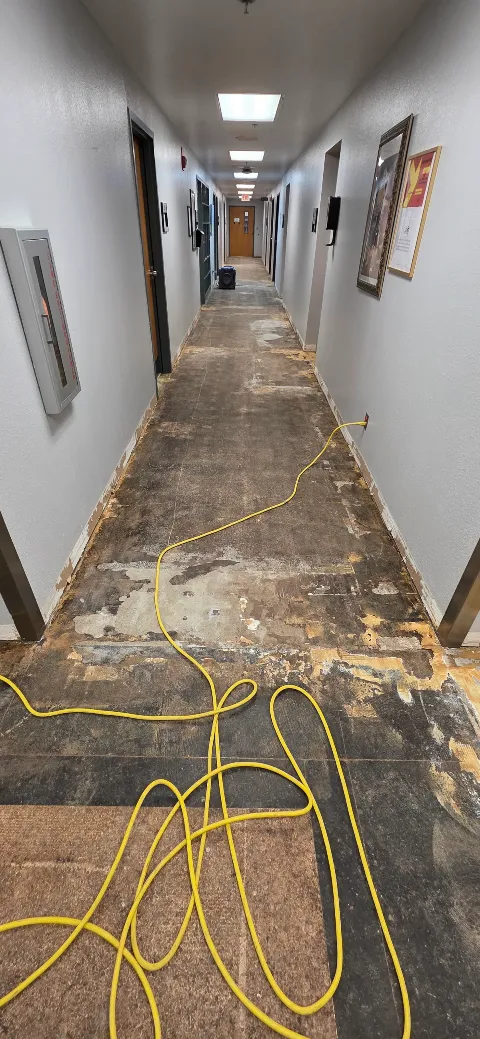 Transparent Flooring Install Design And Epoxy in Sioux Falls