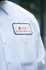 Corbett Exterminating photo 5