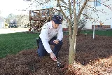 Insight Pest Solutions photo 2