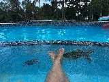 Purified Pool Service LLC photo 4