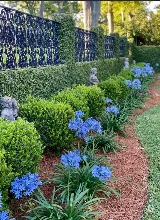 Beau Cook Lawn & Landscape photo 7